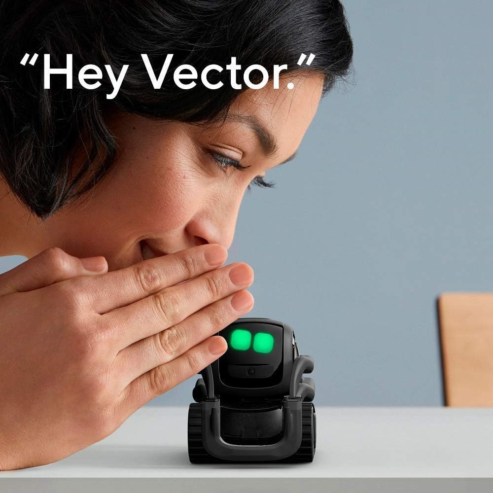 KI ChatGPT 2.0 Verbundener Rob – Remote Control Toys Bewertung und Preis